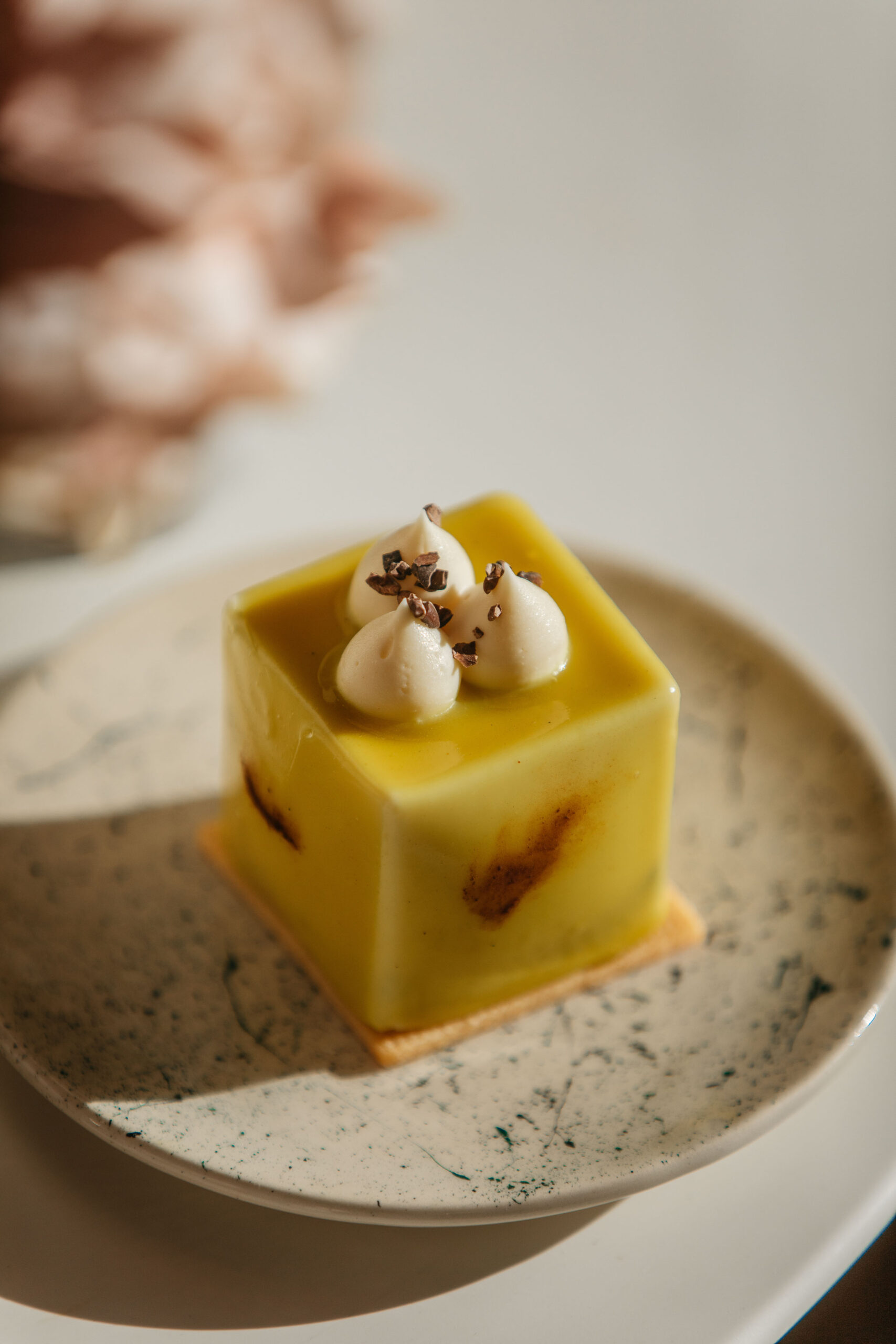 Zima može početi, stigli su mono kolači Gala i Vilma